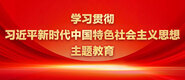 啊操死我骚逼逼视频学习贯彻习近平新时代中国特色社会主义思想主题教育_fororder_ad-371X160(2)